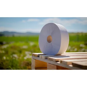 Toaletní papír Toaletní papír Jumbo 280, 2vr recykl 65% bělost, 220m (6ks) FROS
