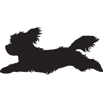 Vsepropejska Maltézský psík 3 dřevěná dekorace na zeď Rozměr (cm): 18 x 38