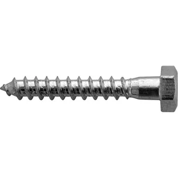 Vrut 790237 Vrut do dřeva šestihranný 10 x 100 mm, Haupa