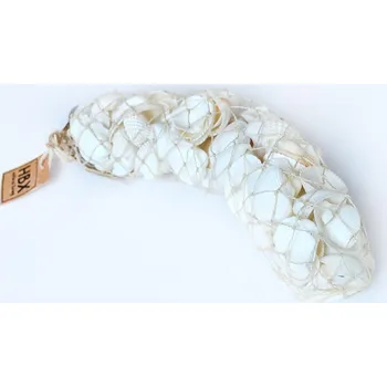 Mušle bílé, dekorační, cca 700 gramů