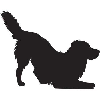 Vsepropejska Zlatý retrívr 3 dřevěná dekorace na zeď Rozměr (cm): 30 x 38