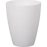 Nohel Garden Orchidea Pastel 12 cm bílý