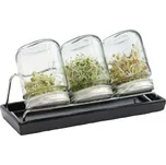 Eschenfelder III sada sklenic na…