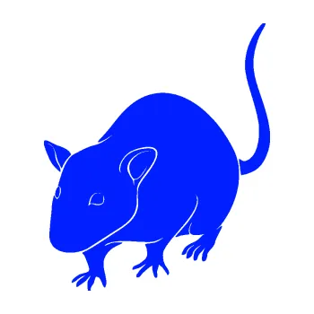 Samolepící dekorace Krysa 003 levá (19 - modrá dynamic) SAMOLEPKA NA AUTO, NÁLEPKA, FÓLIE, POLEP, TUNING, VLASTNÍ TEXT, TISK, AUTOSAMOLEPKY.cz, POLEPY, OBRÁZEK, LOGO, 3D STICKERS