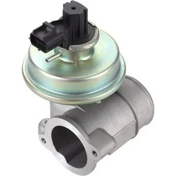 Ventil palivového systému AGR-Ventil MAGNETI MARELLI 571822112112