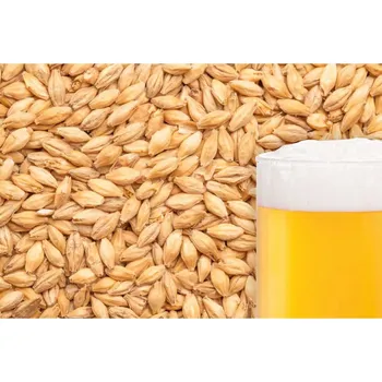 výroba alkoholu BEST Caramel Pils