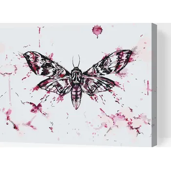 Malování podle čísel - Malba motýla Velikost: 30x40cm, Rámování: Pouze srolované plátno