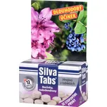 SilvaTabs Tablety na borůvky a…