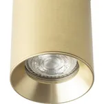 RENDL DARIO pro jednookr. lištu česaná mosaz 230V GU10 9W R13872