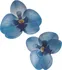 Jedlá dekorace na dort Dekora Květy z jedlého papíru orchidej modrá 10 ks