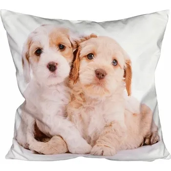 Povlak na dekorativní polštářek Fotonávlek, povlak na polštářek Dvě štěňátka