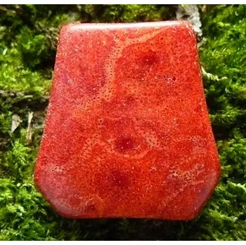 Přívěsek-Korál mechový