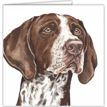 Přání v obálce Německý krátkosrstý ohař, WD 16,5 x 16,5 cm (Blahopřání s obálkou s pejskem, psi, pes)