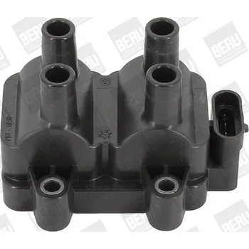 Zapalovací cívka Zapalovací cívka BorgWarner (BERU) ZS354