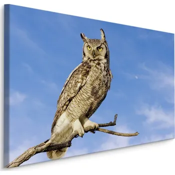 Obraz MyBestHome BOX Plátno Puštík Vousatý Varianta: 30x20