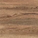 Nordic Wood Flamed Walnut Rettificato - dlaždice rektifikovaná 20x120 hnědá NDW501RT
