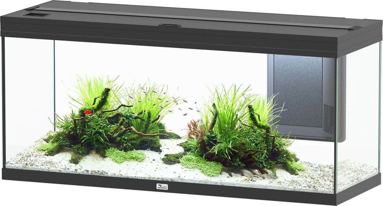 Aquatlantis Volga 240 l antracit od 10 858 Kč - Zbozi.cz