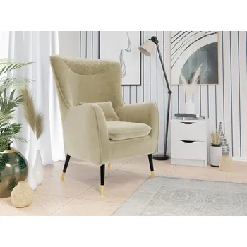 Čalouněné křeslo Arisean, Potah: Magic Velvet 2201 MIRJAN 5903211173400