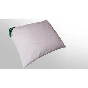 Polštář 2G Dětský polštář Aloe Vera 60x40(350g)