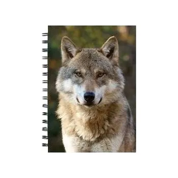 E-myslivost Dětský 3D zápisník pro malé myslivce - Vlk - Velikost detail M