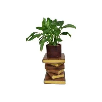 Stojan na květiny Dřevěný podstavec pod rostliny Golden Books 40 cm