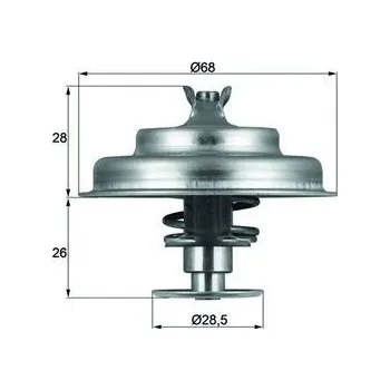 Těsnění motoru Termostat, chladivo MAHLE TX 75 80D