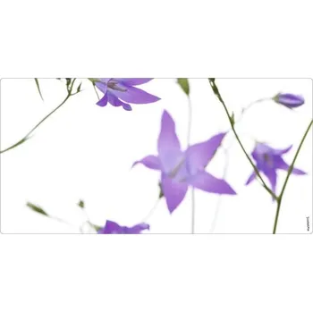 Obklad Koupelnová zádní stěna mySPOTTI aqua Glockenblume 90x45 cm