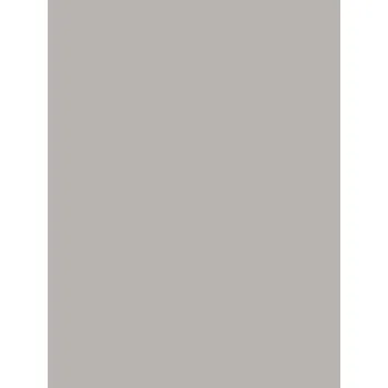 Obklad Color One (RAL 0607005) - obkládačka 25x33 šedá lesklá WAAKB010