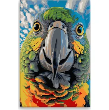 Dětské zboží Malování podle čísel - Zvědavý papoušek - 40x60 cm, bez dřevěného rámu - CZ výroba