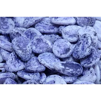 Korálek Lístek sasanky 11x16mm č. 55 (11x16mm)