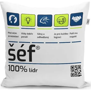 Polštář Sablio Polštář Šéf: 40x40 cm