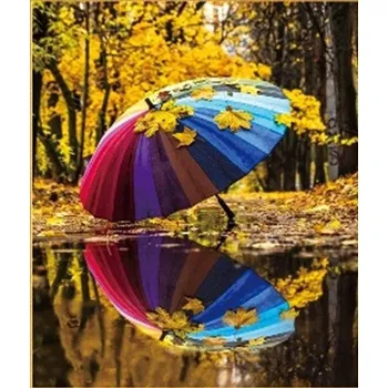Diamantové malování Diamantové malování - Duhový deštník v podzimu - č. 704 65x85 cm