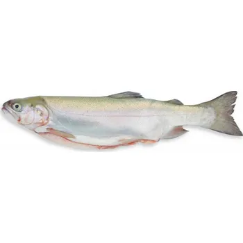 Pstruh celý kuchaný