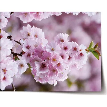 Plakát Sablio Plakát Rozkvetlý strom - 60x40 cm