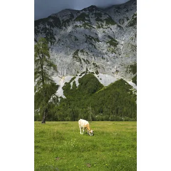 Fototapeta Vliesová fototapeta horská pastvina, rozměr 159 x 265 cm / vliesové fototapety na zeď Magic Walls 364637 Rasch