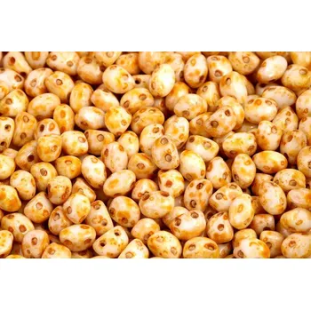 Korálek Preciosa Candy™ Oval č.17