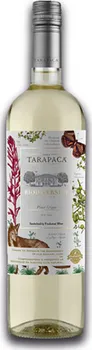 Víno Tarapaca Biodiversity Pinot Grigio 2021 Limited Edition 0,75 l