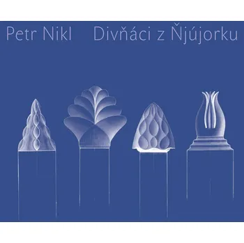 Umění Divňáci z Ňjújorku - Petr Nikl (2012, pevná)