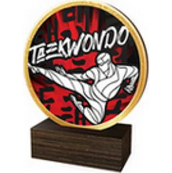 Poháry Bauer Dřevěná plaketa TFRW602 | Bojová umění