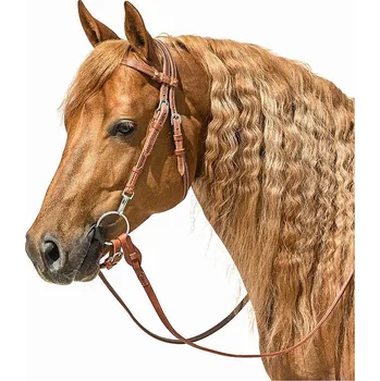 Westernová uzdečka LproWest Hayward full