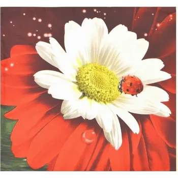 Dekorativní polštářek 3D povláček na polštářek APEX - Beruška nová - Povláček na polštářek