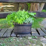 Roto květináč MAMBO M Roto květináč MAMBO M