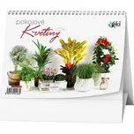 Baloušek Tisk Stolní kalendář Pokojové…