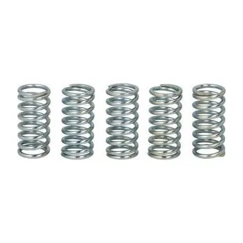 Spojkové pružiny TRW Honda CRF 150 F 03-05