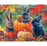 Figured'Art Tři králíci bez rámu 40 x…