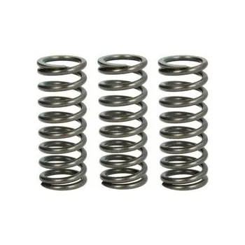 Spojkové pružiny TRW Ducati 959 Panigale 16-19