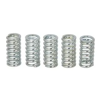 Spojkové pružiny TRW Hyosung GV 125 Aquila 00-04