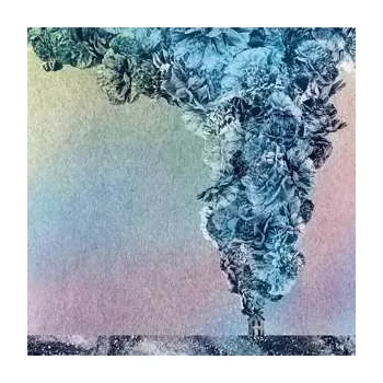 Zahraniční hudba LP Daughn Gibson: Carnation CLR | LTD 2024 Clear Coloured Vinyl Limited Edition