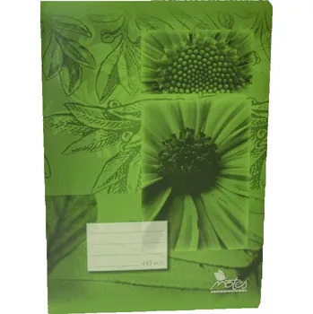 Sešit Notes Economy A4/445 40 listů čtverečkovaný