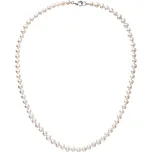 Evolution Group 22037.1